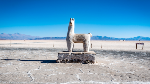 Tour a las Salinas Grandes y Purmamarca