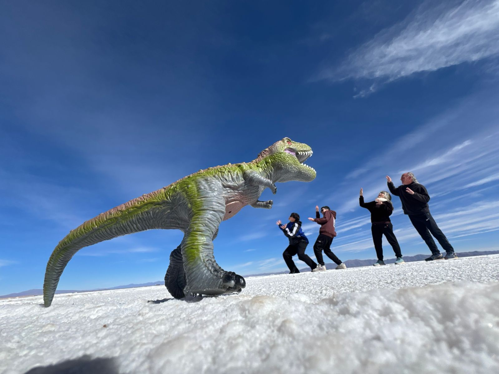 Tour a las Salinas Grandes y Purmamarca - Image 8